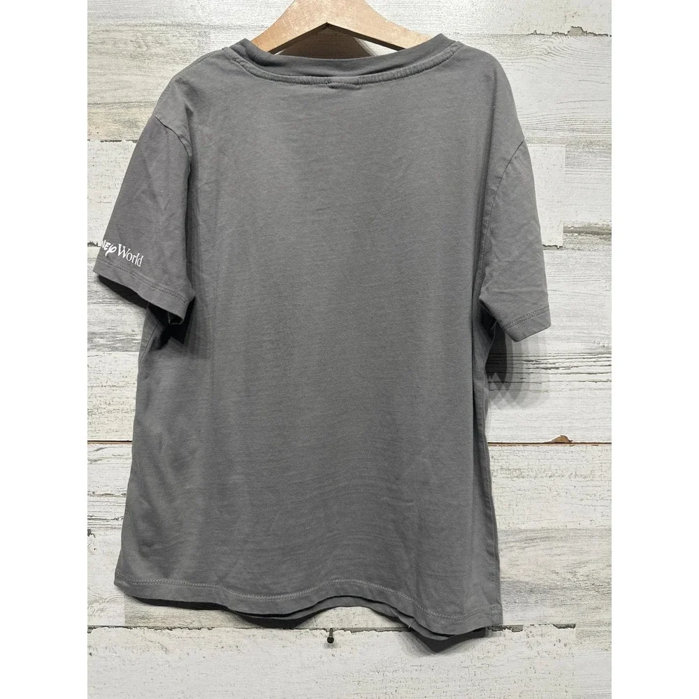 Disney Graphic T-Shirt Youth Medium Gray 100th Anniversary Mickey Goofy EUC